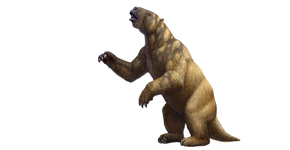 The Mighty Megatherium